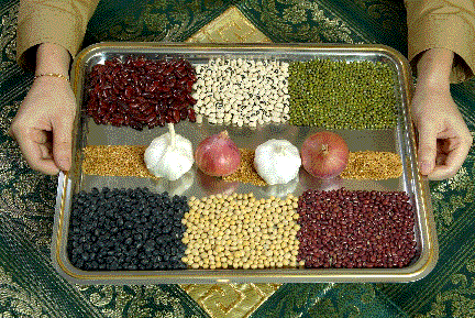Picture of a tray of colourful beans representing the wonderful things we have to share.