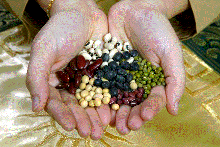 Picture of a hand offering a handful of beans.